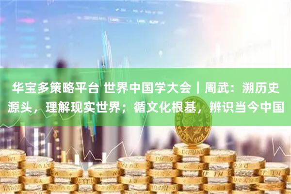 华宝多策略平台 世界中国学大会｜周武：溯历史源头，理解现实世界；循文化根基，辨识当今中国