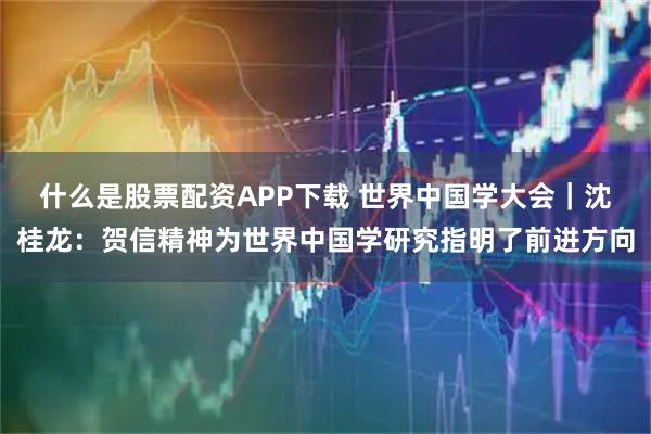 什么是股票配资APP下载 世界中国学大会｜沈桂龙：贺信精神为世界中国学研究指明了前进方向