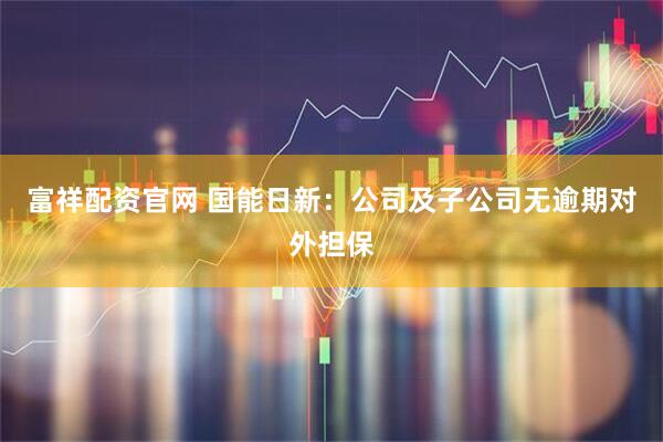 富祥配资官网 国能日新：公司及子公司无逾期对外担保