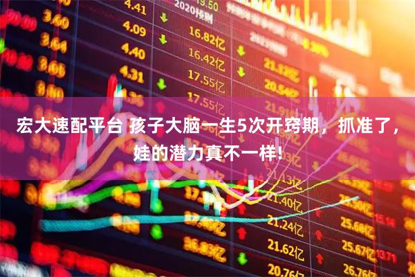 宏大速配平台 孩子大脑一生5次开窍期，抓准了，娃的潜力真不一样!