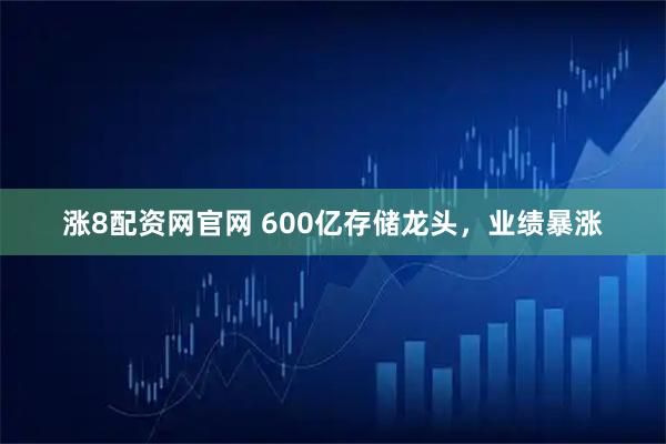 涨8配资网官网 600亿存储龙头，业绩暴涨